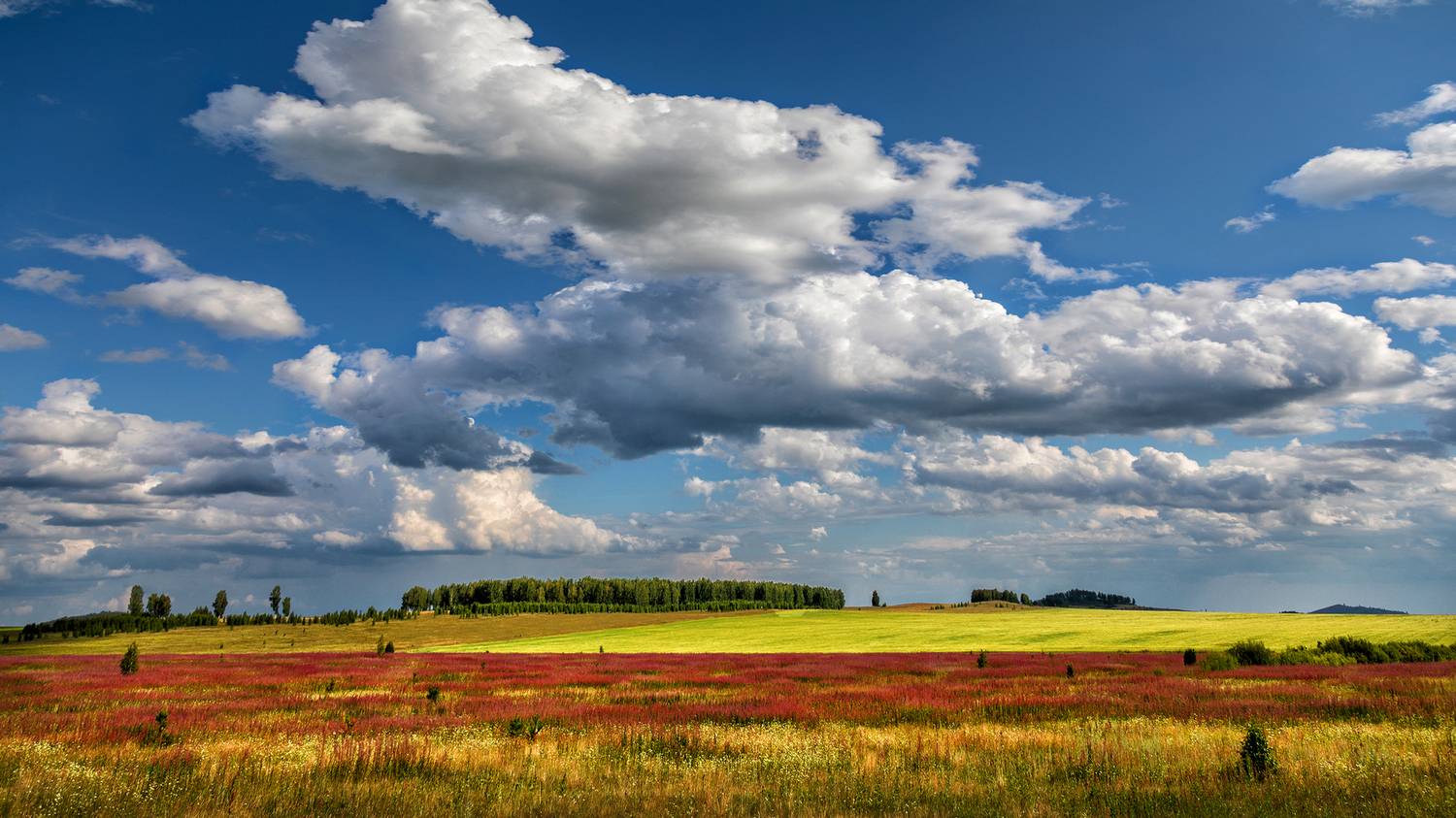 , Ушаков Валерий