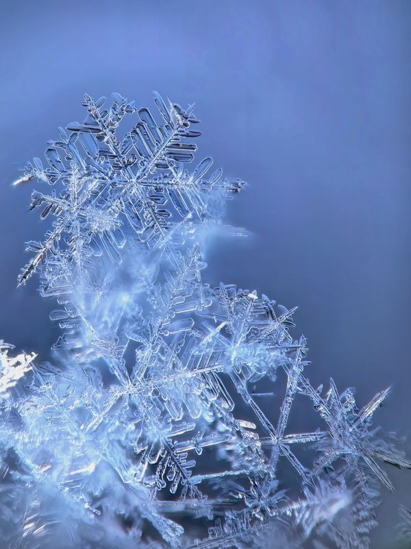Макропирамида фото превью