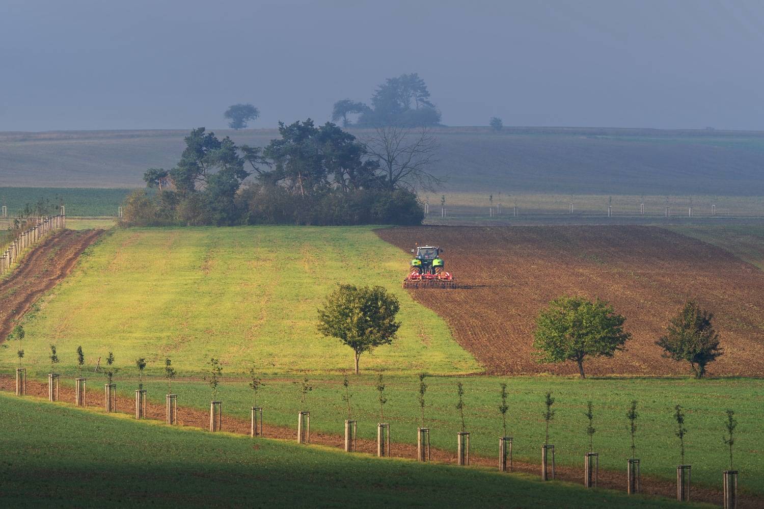 , Шимаковский Юрий