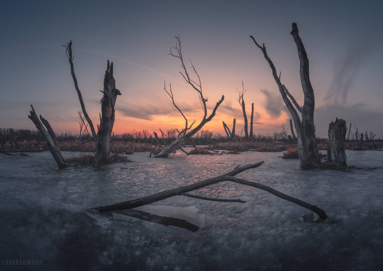 деревья, коряги, озеро, закат, рязанская область, Дубровинский Михаил