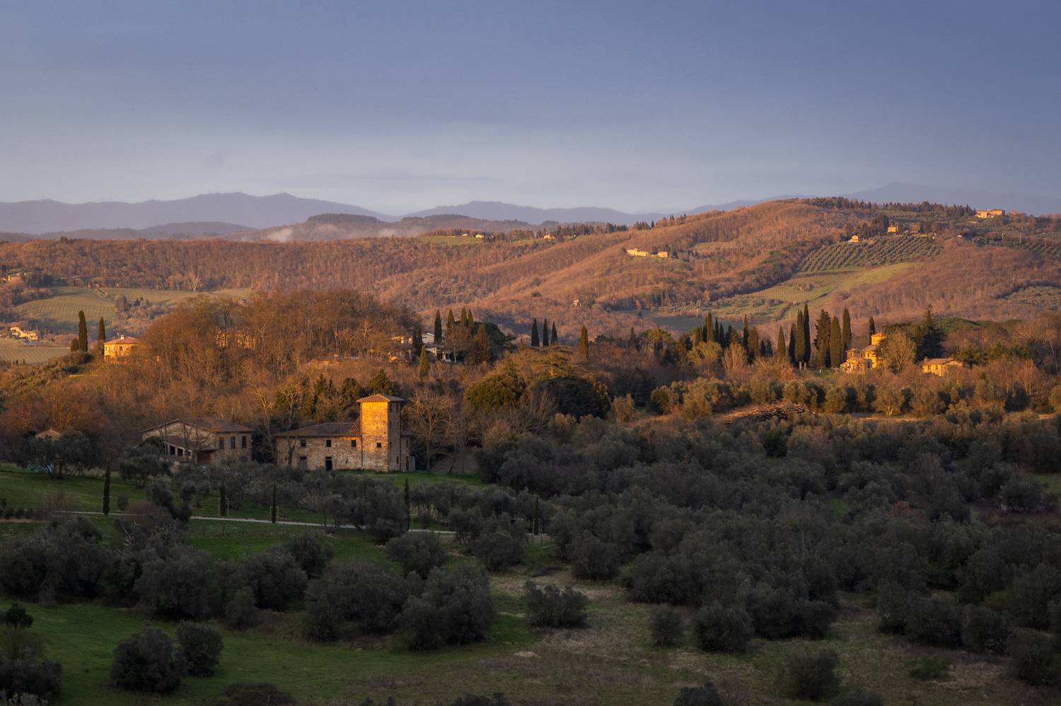 , Алекс Римский