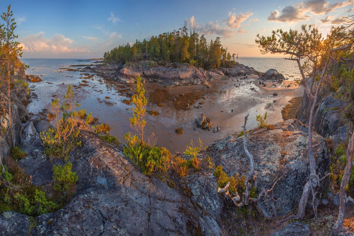 , Петр Косых