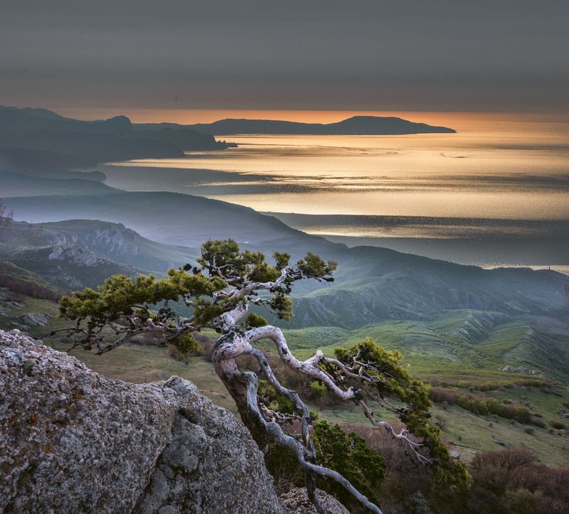 Фототуры с Владимиром Рябковым, #topnature #russpasibo #magic_shots #lovelyRussia #sunset_vision #exclusive_sky  #exclusive_shots #loves_russia2 #photoarena_nature #nature_sultans #nature_perfection #rsa_sky #rsa_sunset #photorussia #rsa_naturepics #sunse Утренний вид с Демерджи.  фото превью