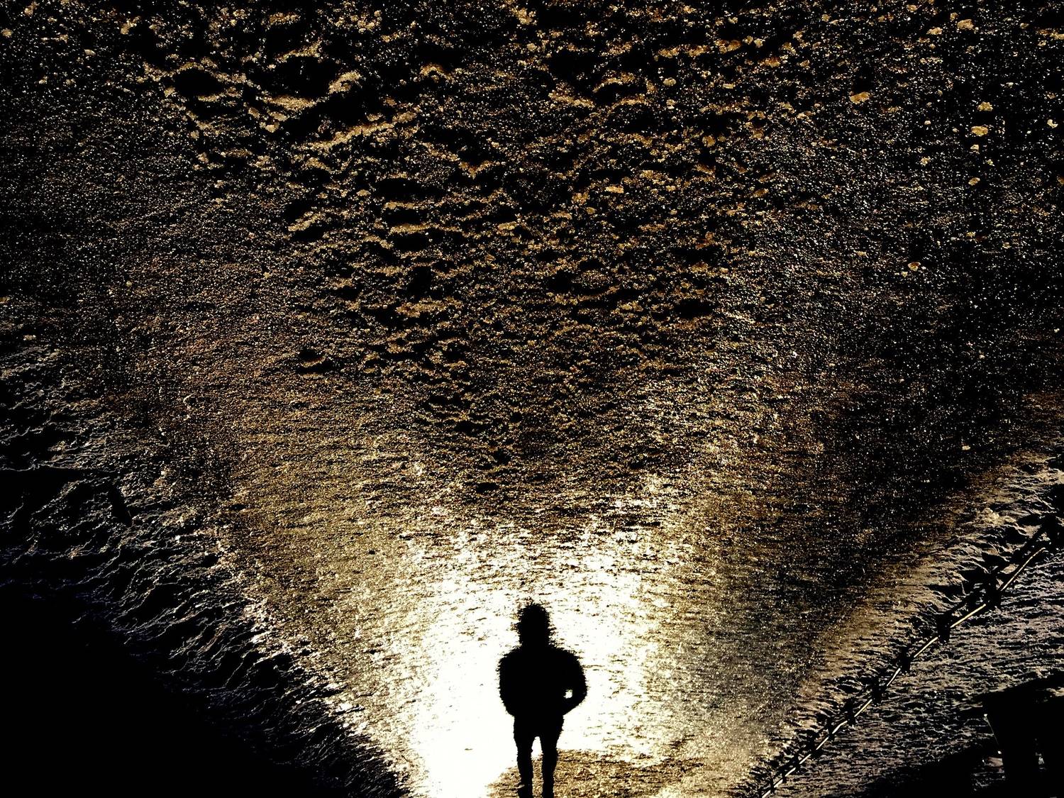 , Антон Лаба