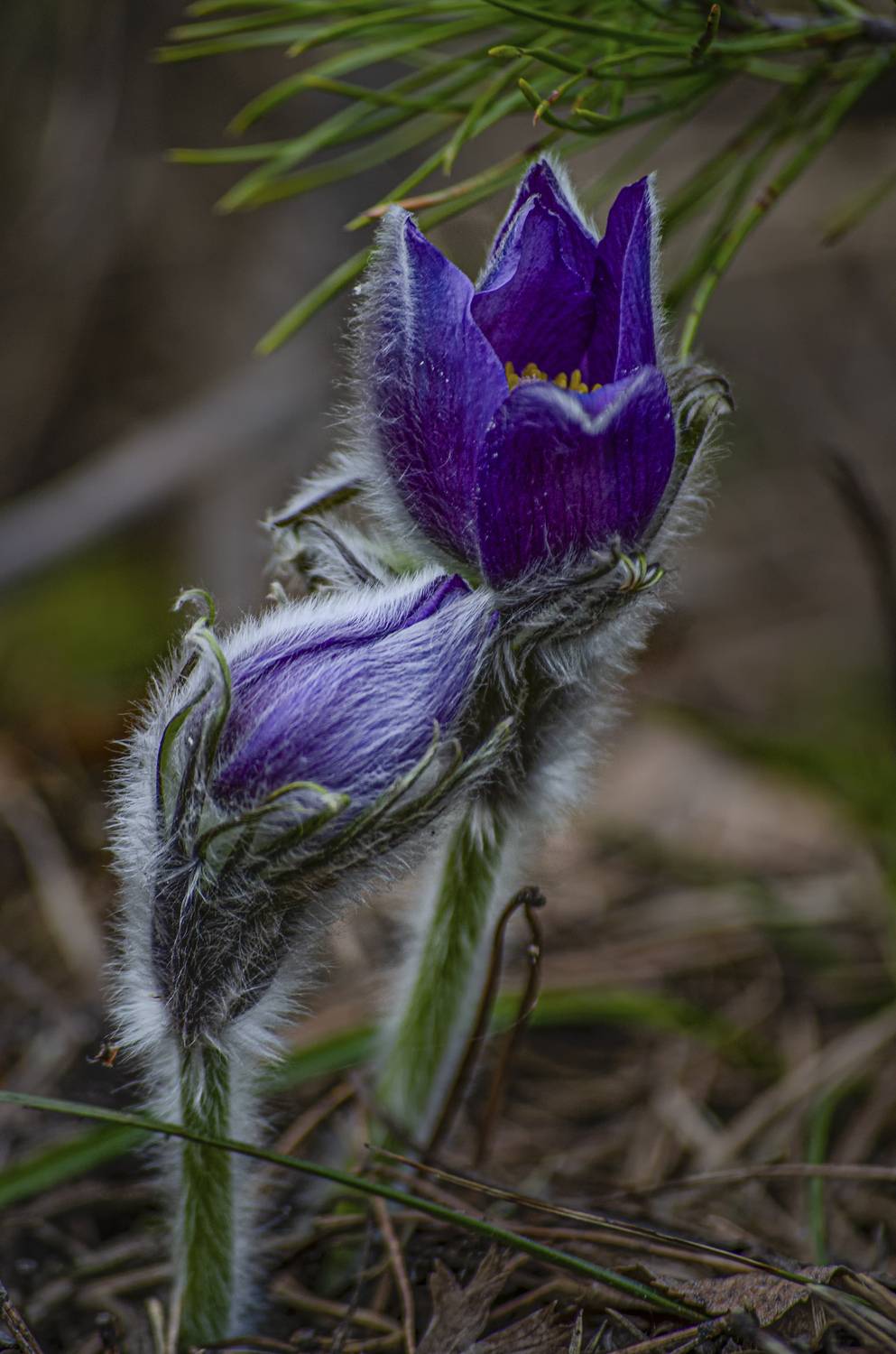 , Александр Березуцкий