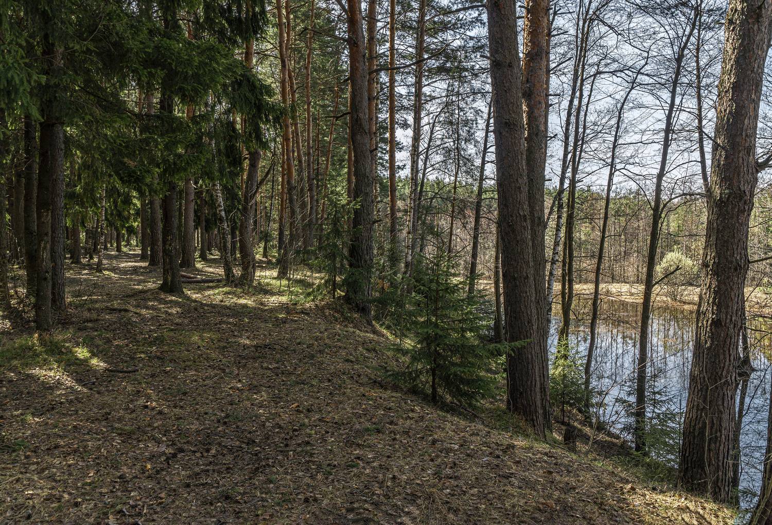 , Шитов Александр