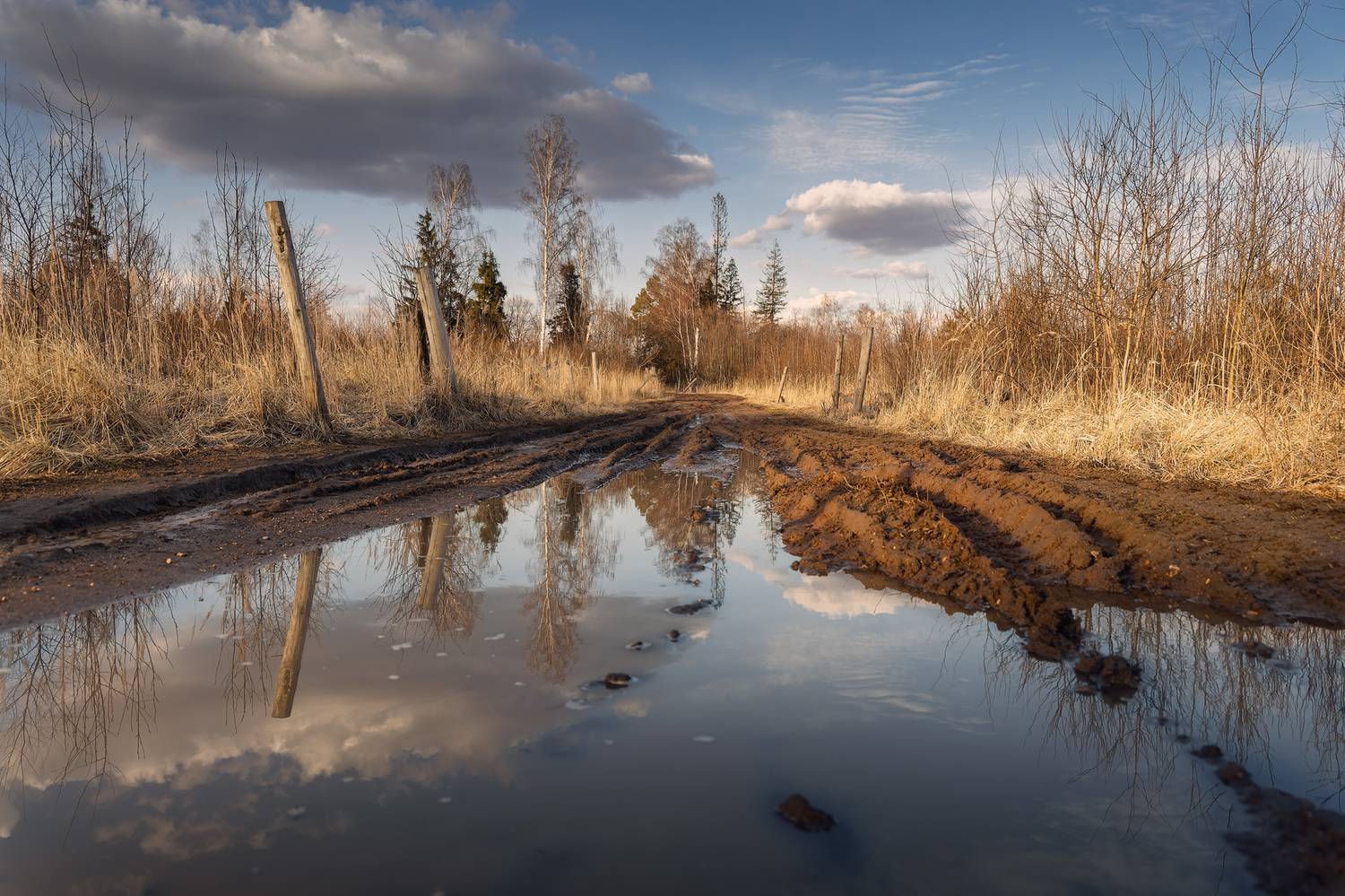 , Загруев Михаил