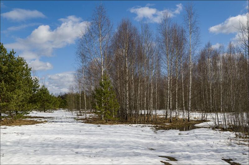 Половодье в Тверской (продолжение) фото превью