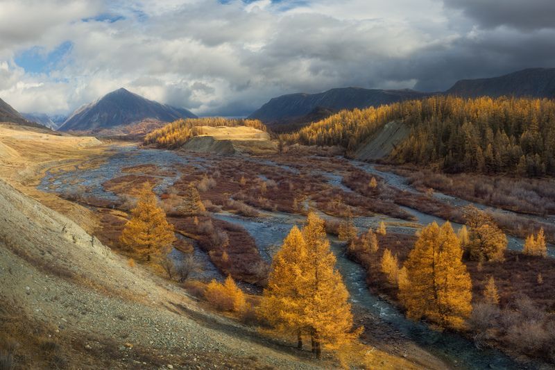 Рукава Джазатора фото превью