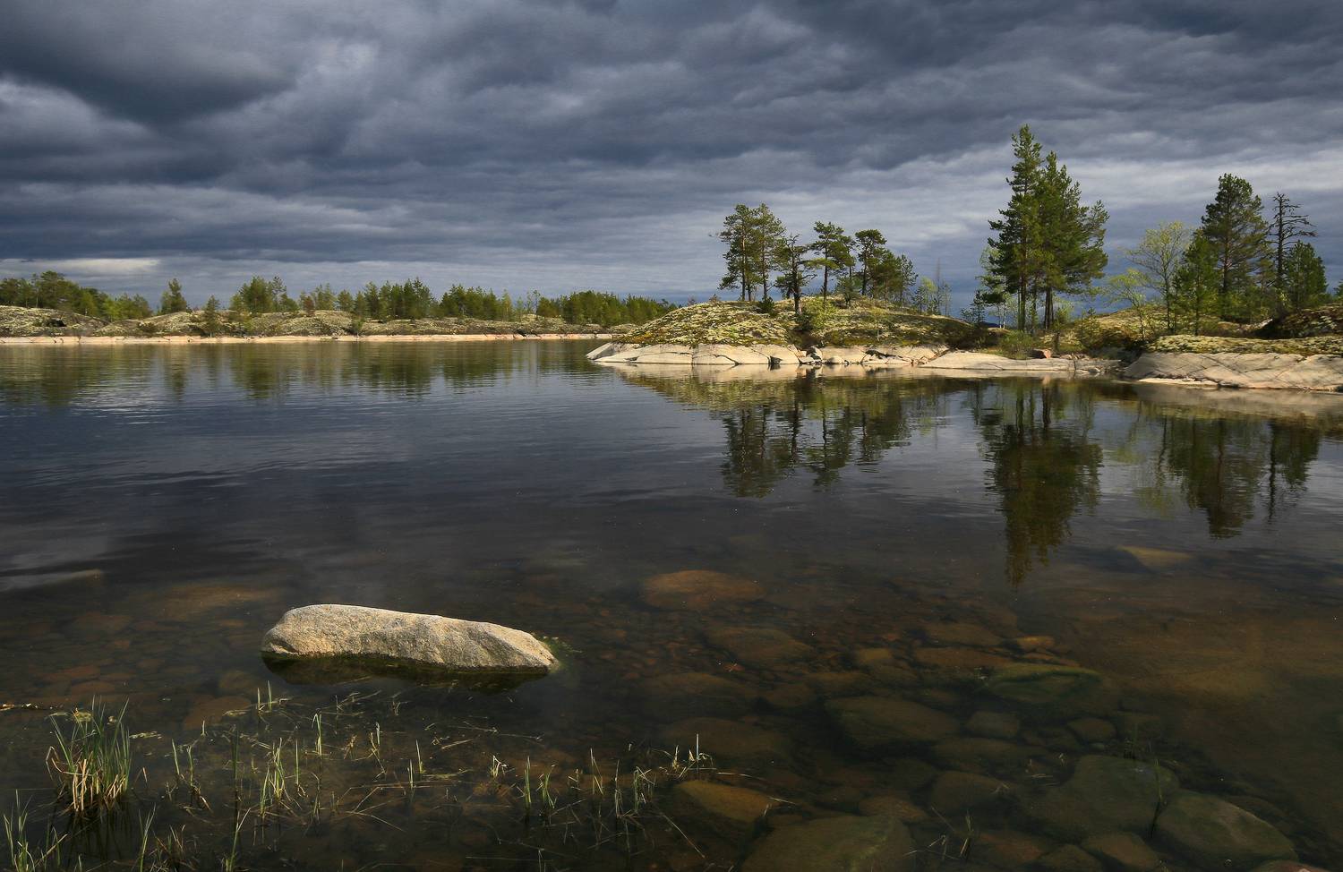 , Галина Хвостенко