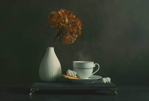 Сухая гортензия и чашка кофе..