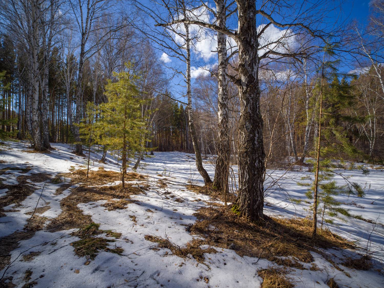 , Шустиков Дмитрий