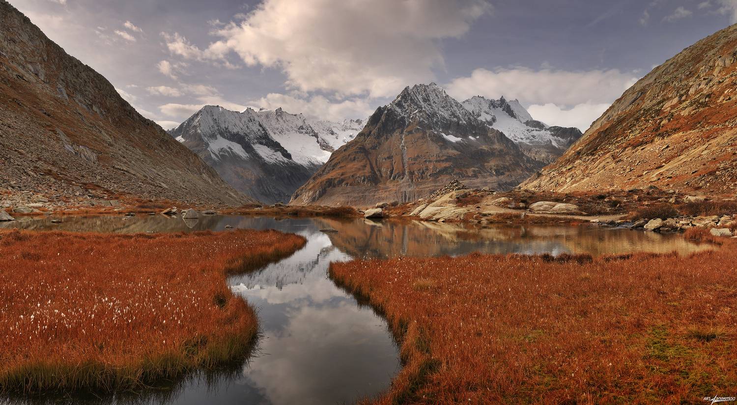 swiss, Матвеев Николай