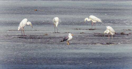 Рыбаки. (6 ФОТО)