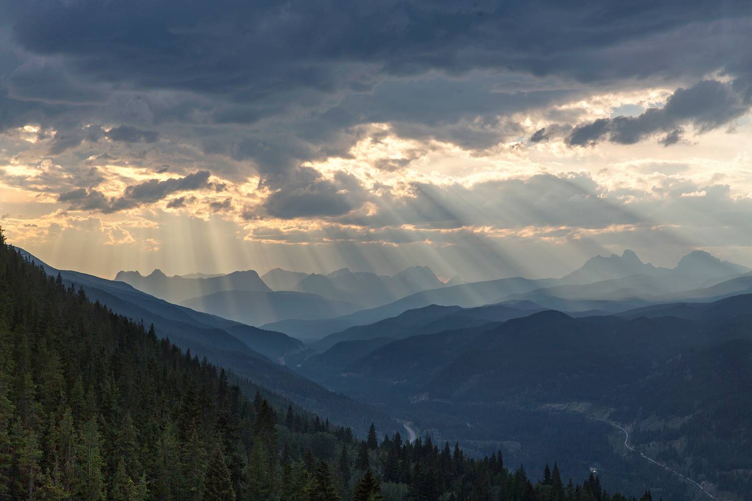 , Vladimir Vorobeychik