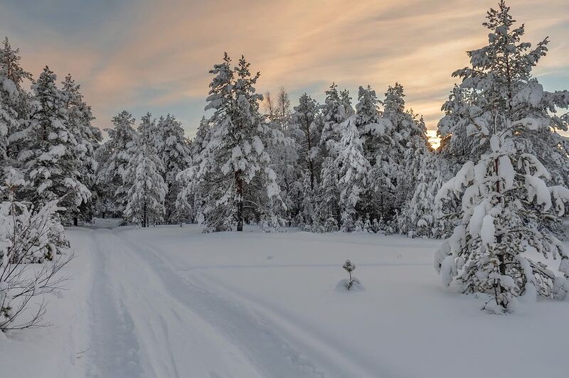 В царстве снега. фото превью