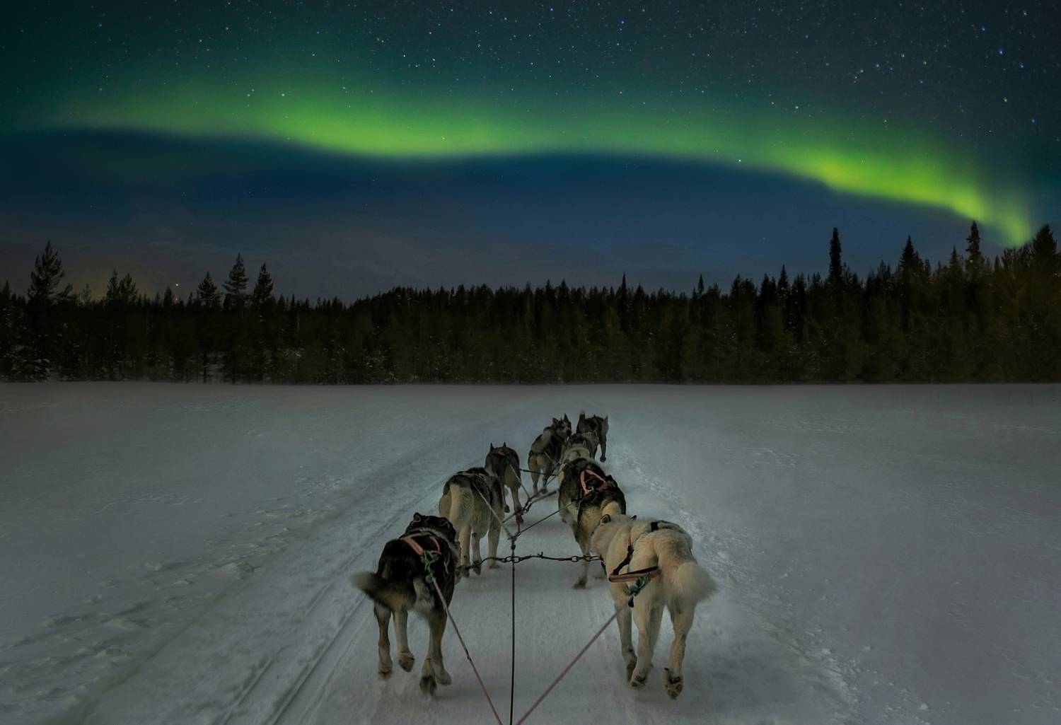 , Вадим Городницкий