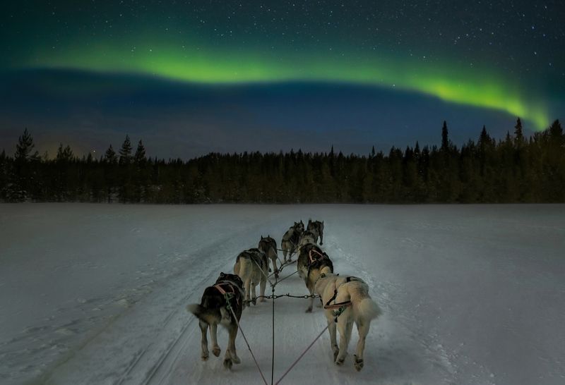Lapland фото превью
