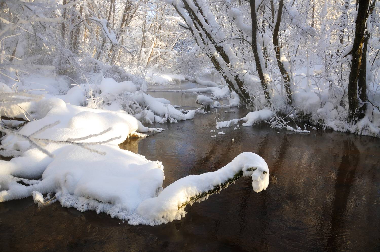 , Куликов Андрей