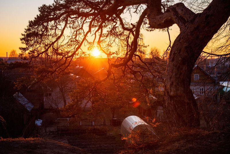 сквозь крючья фото превью