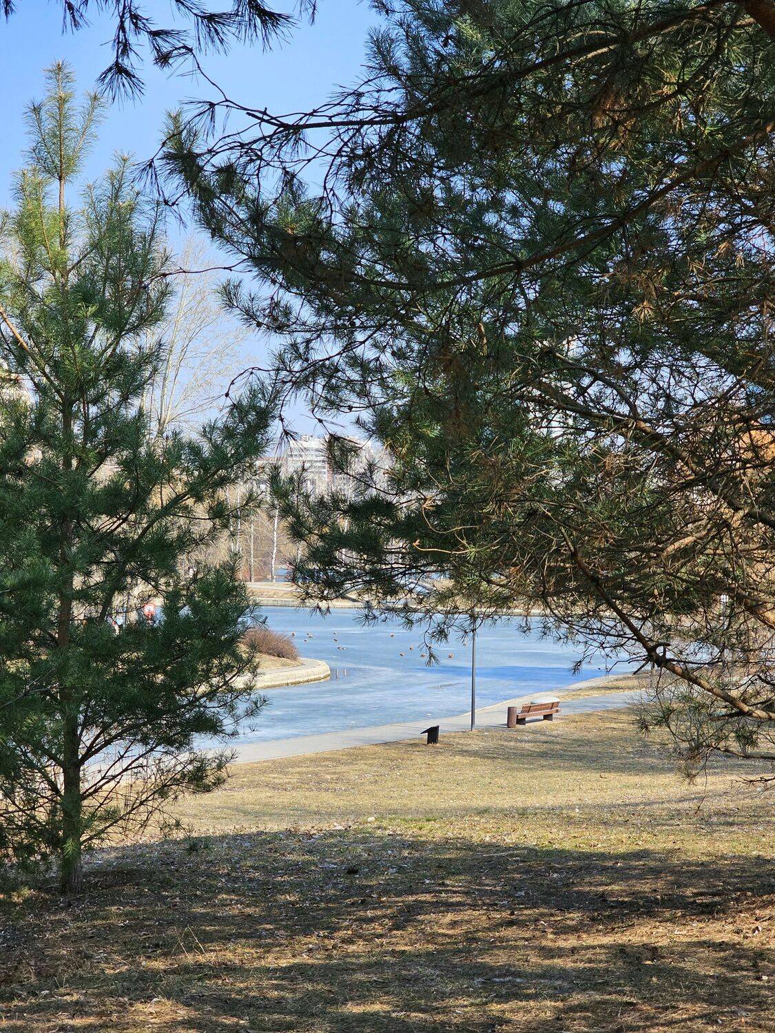 , Мария Яковлева