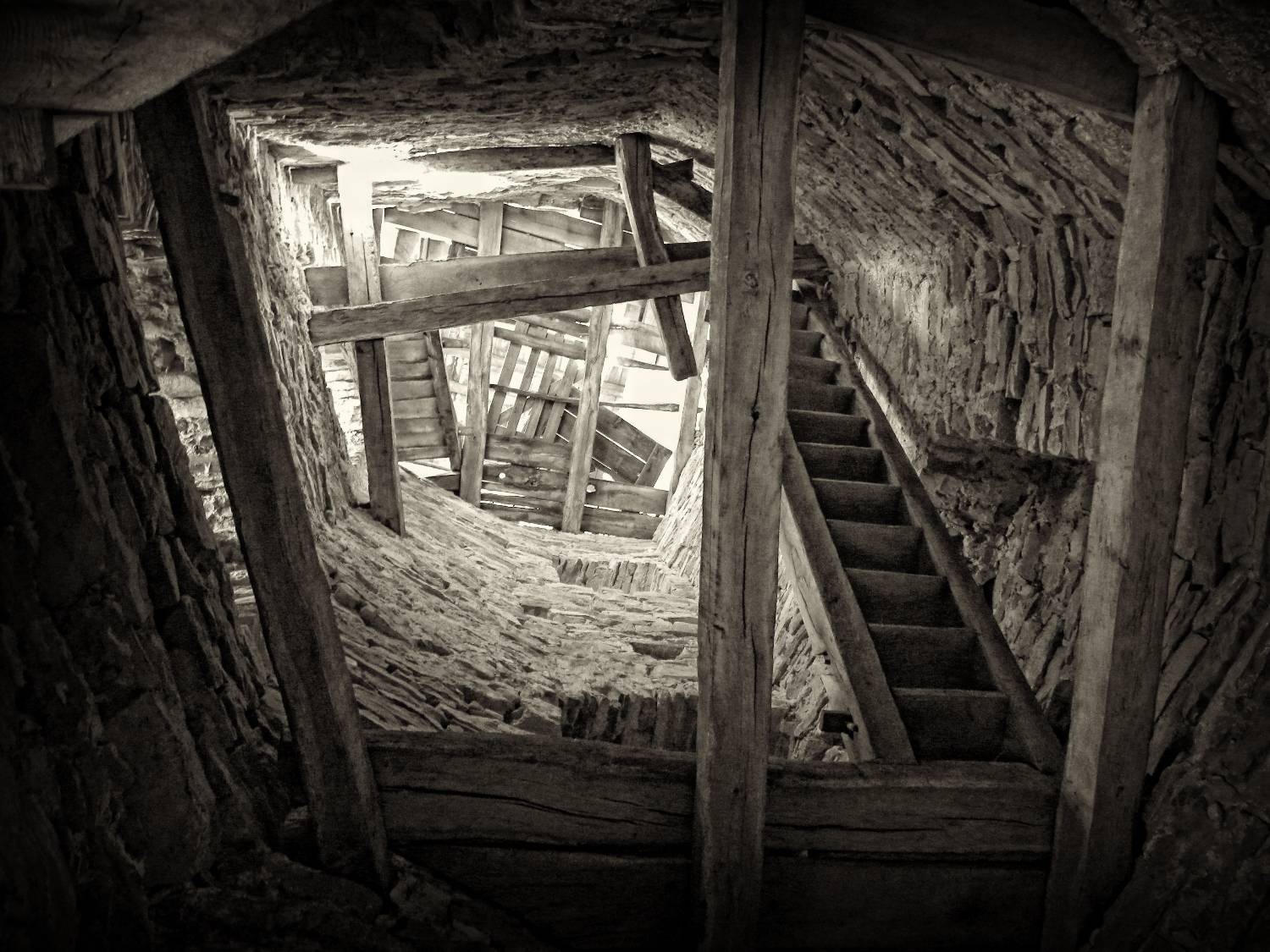 , Савоцкий Роман