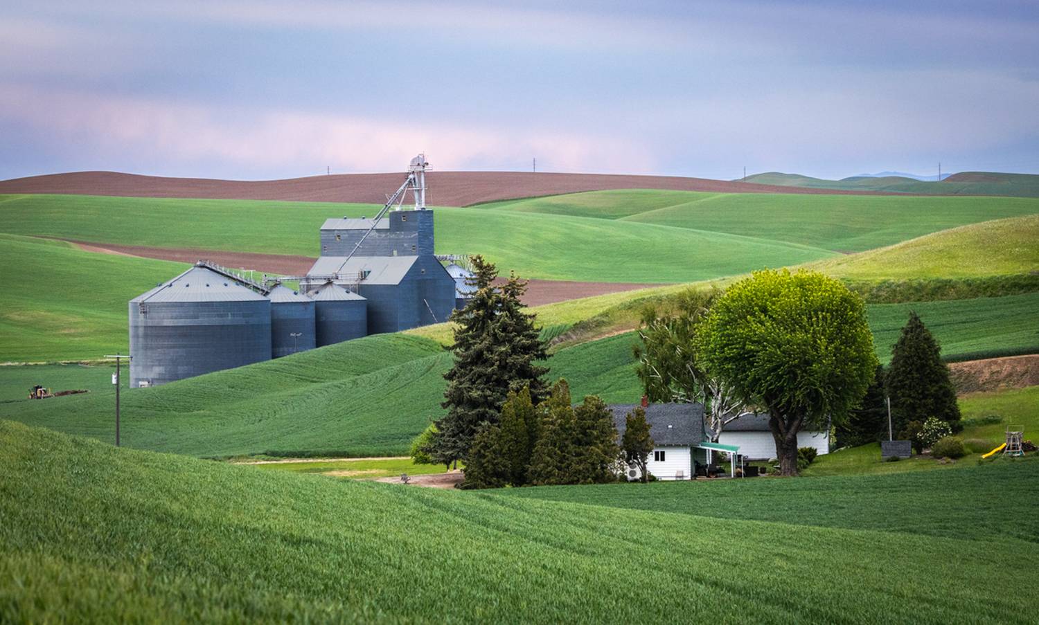 , Лозицкий Александр