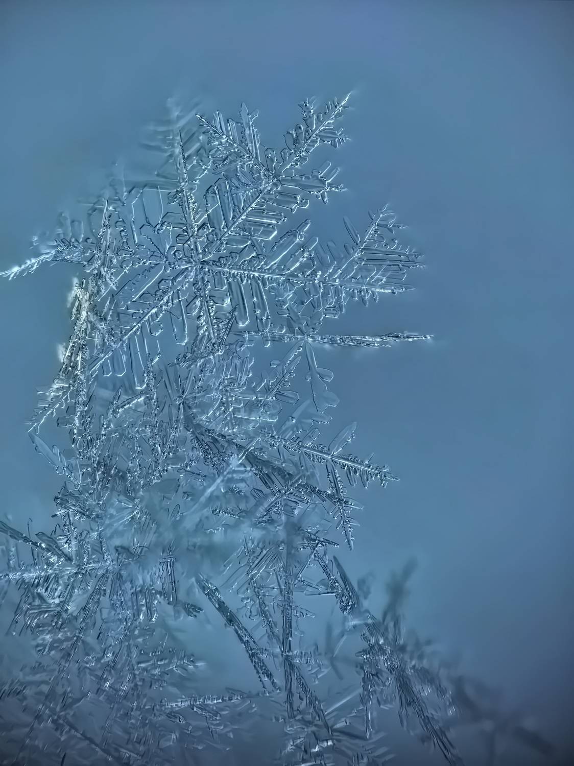 , Кузнецов Дмитрий