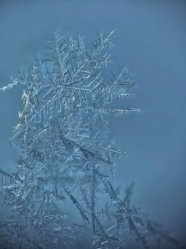 Последние снежинки фото превью