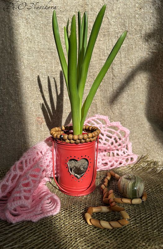 *** фото превью