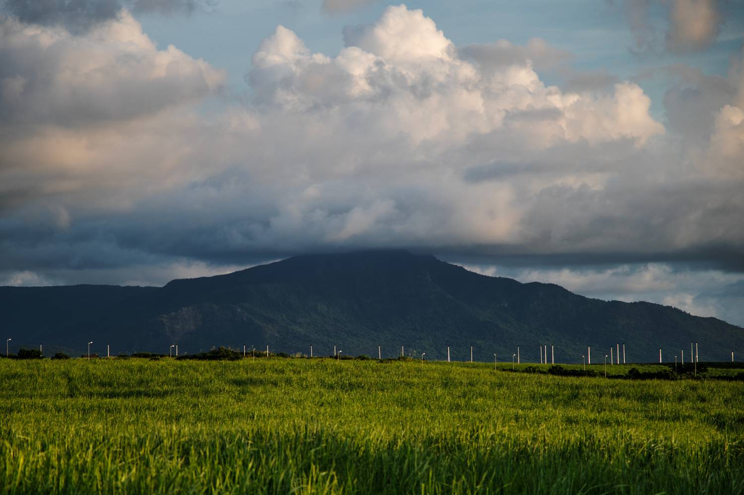 , Роман Князев