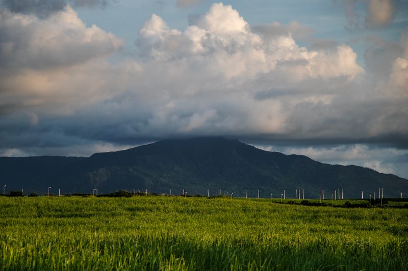The hat фото превью