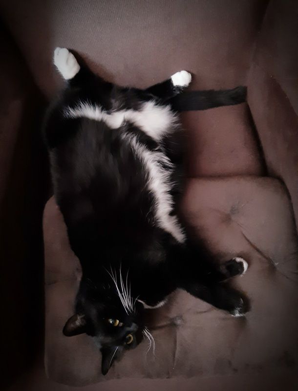 Скука фото превью