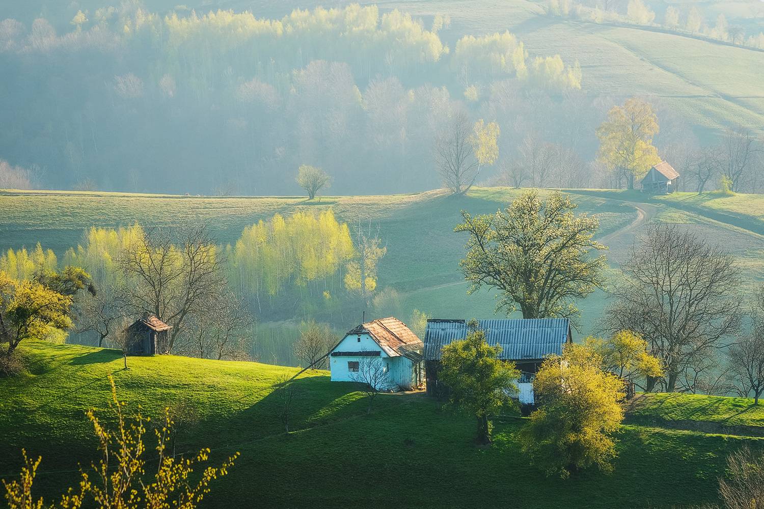 , Stefan Chirobocea
