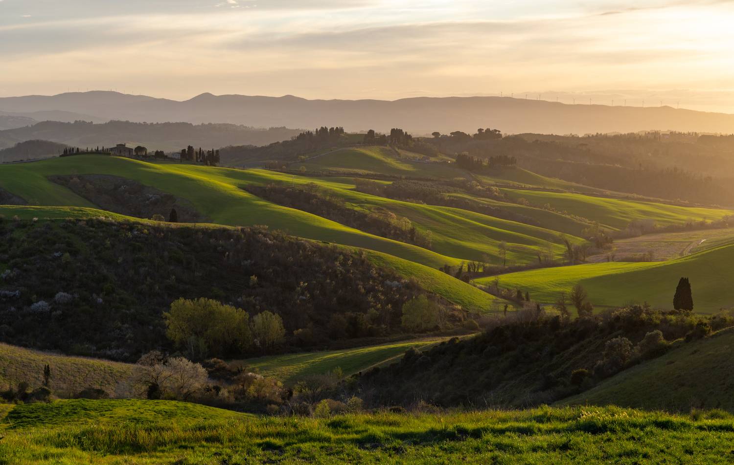 , Алекс Римский