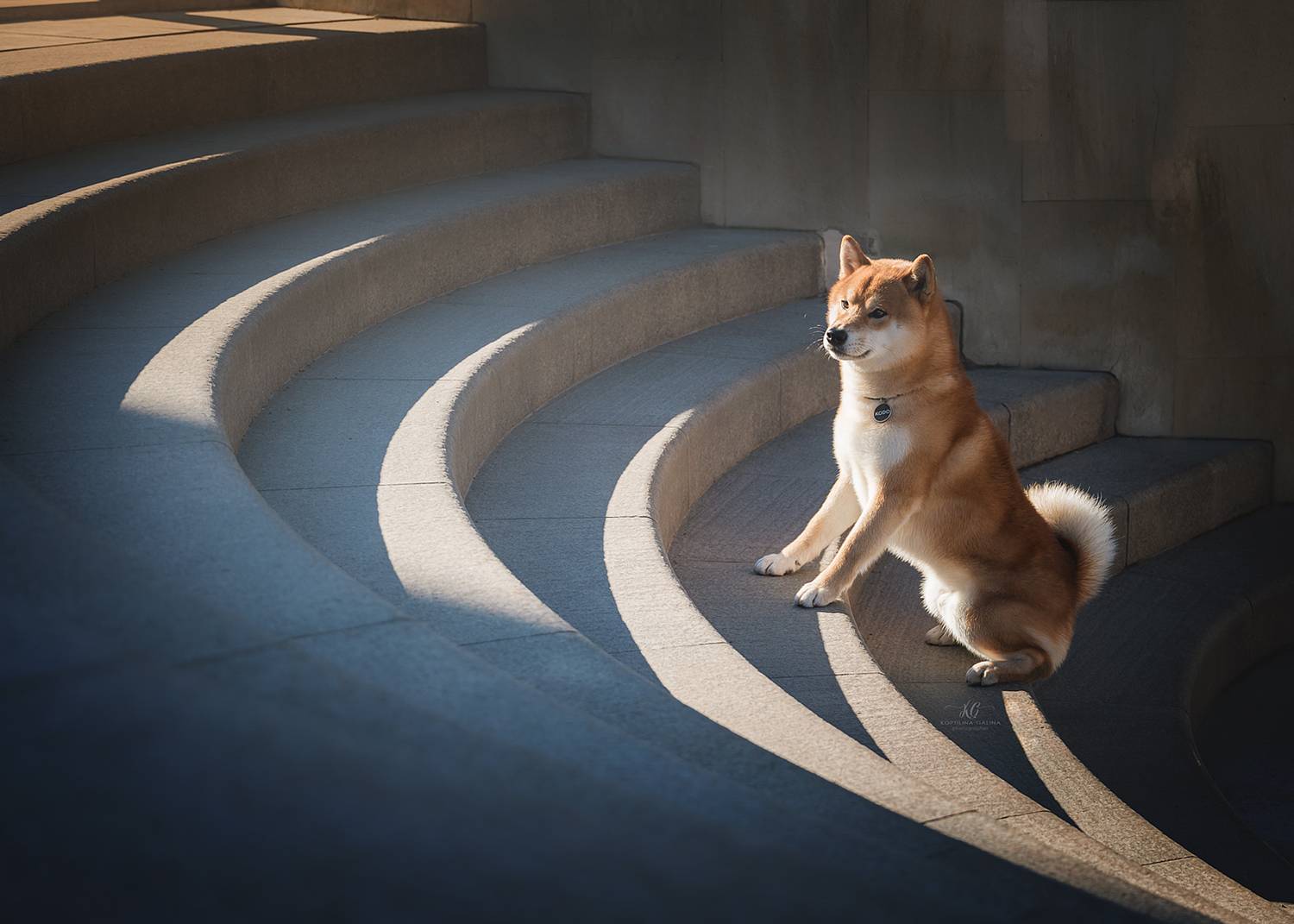 , Коптилина Галина