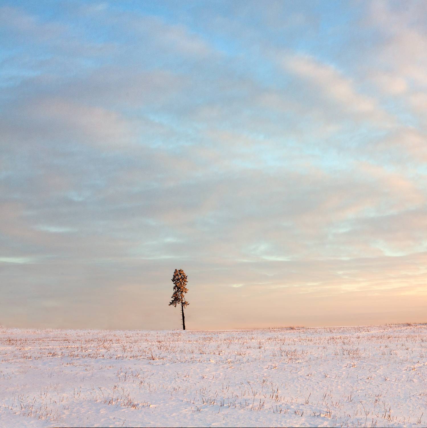 , Фотов Ренат