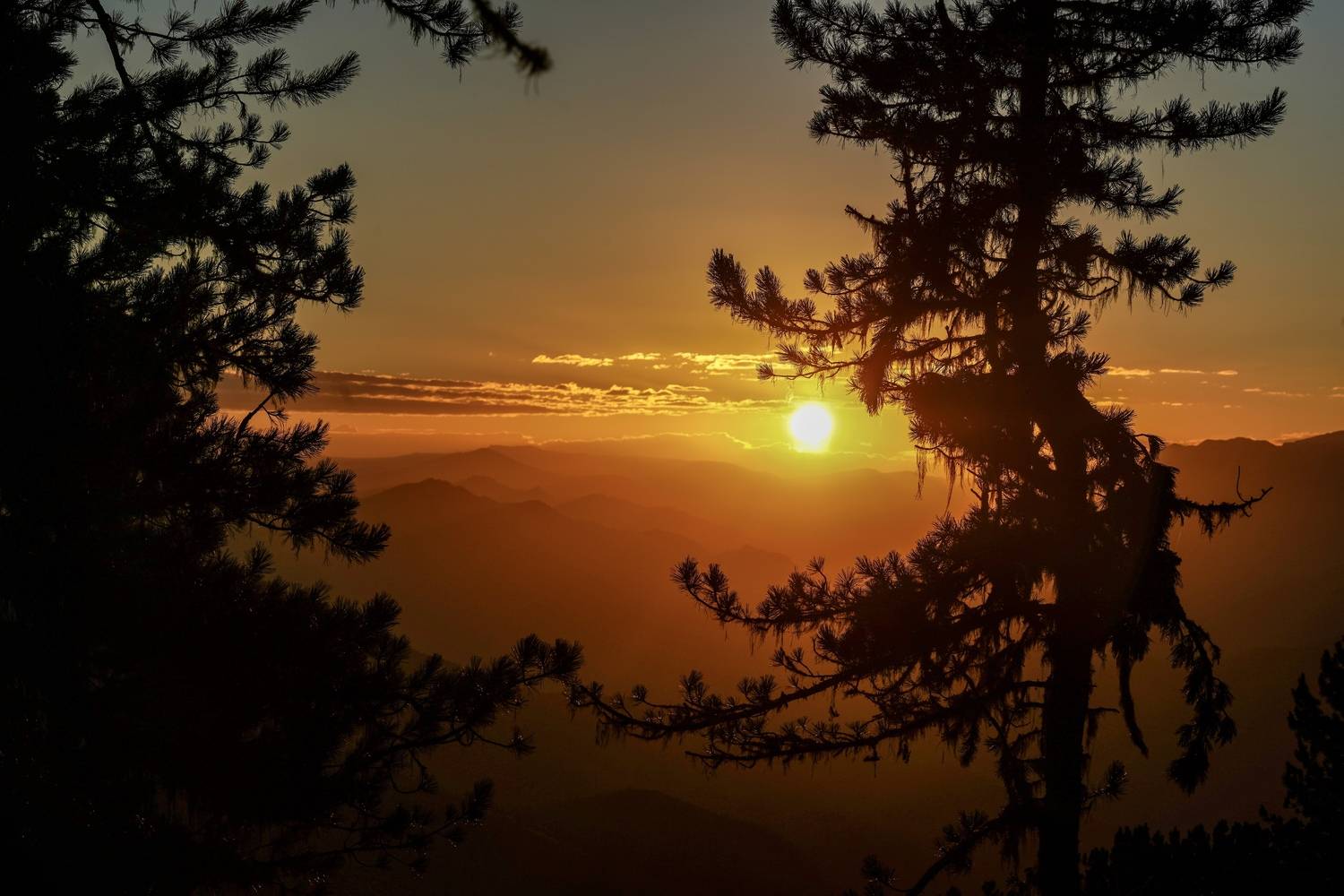 , Кузнецов Андрей