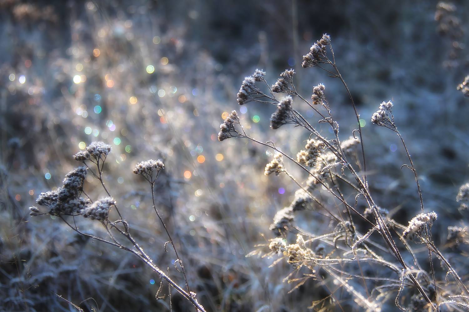 , Юдинских Марина