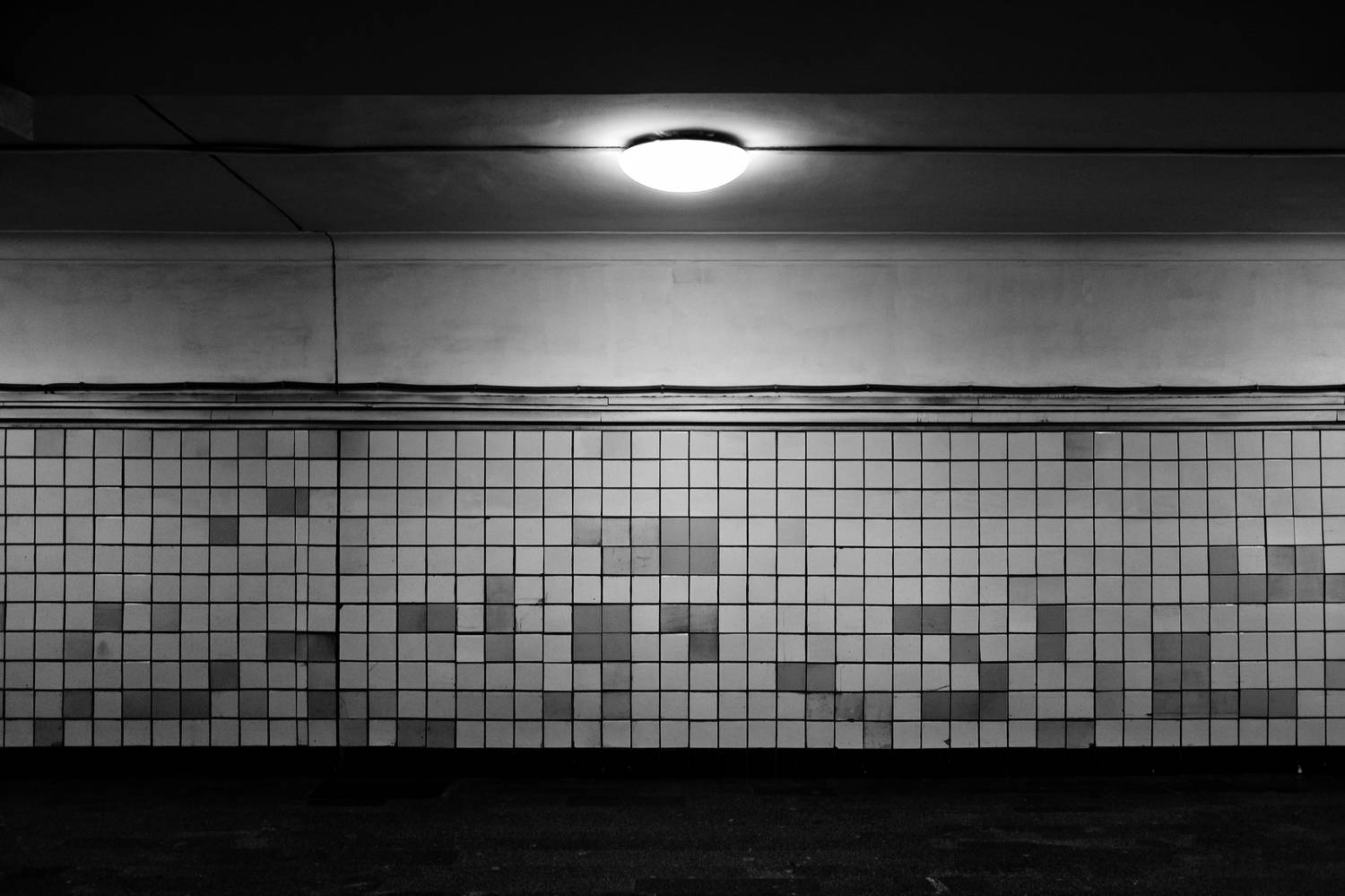 Свет, путь, стена, Зорин Миша