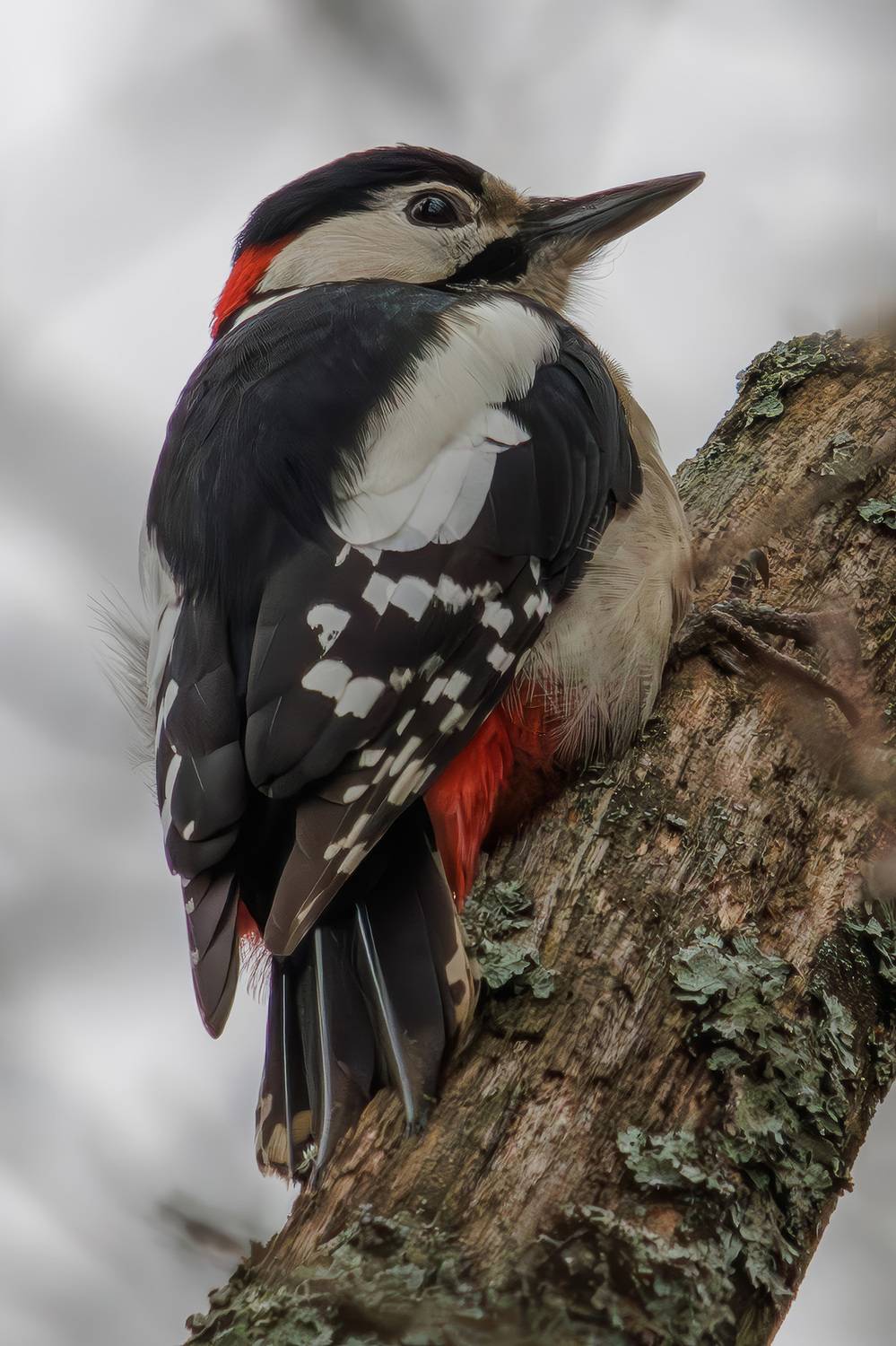 , Морозов Сергей