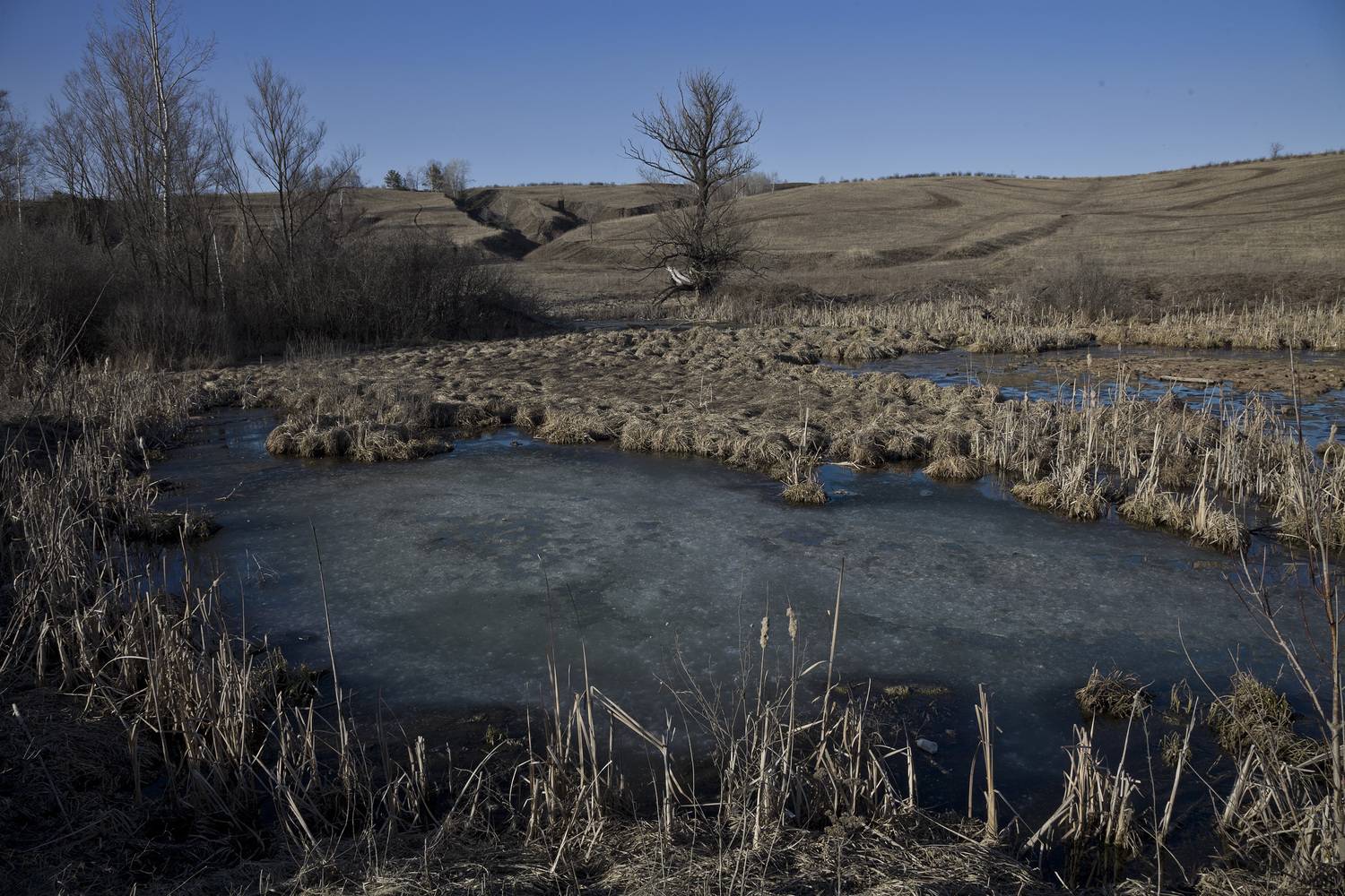 весна март, Виктор Кириллов