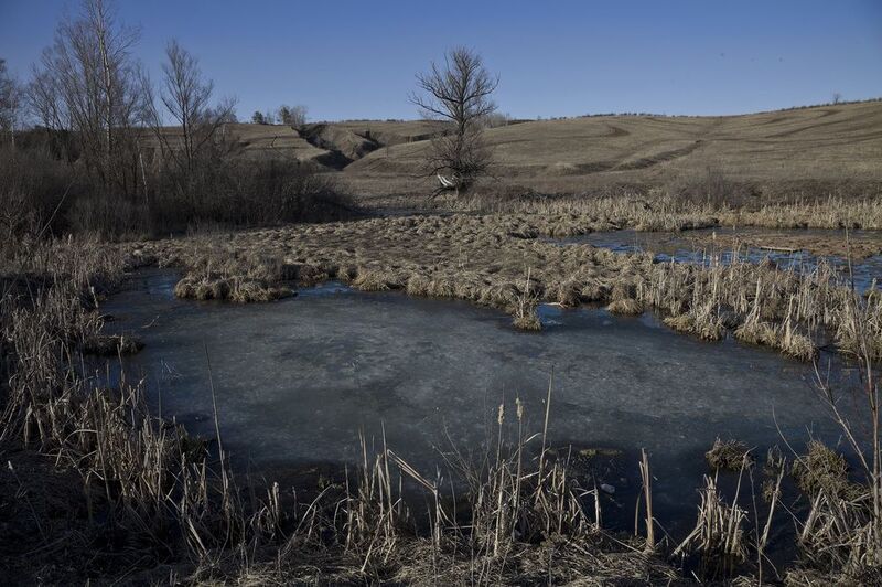 весна март Весна фото превью