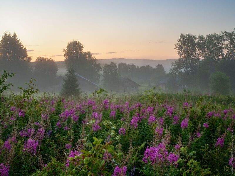 Перед рассветом фото превью