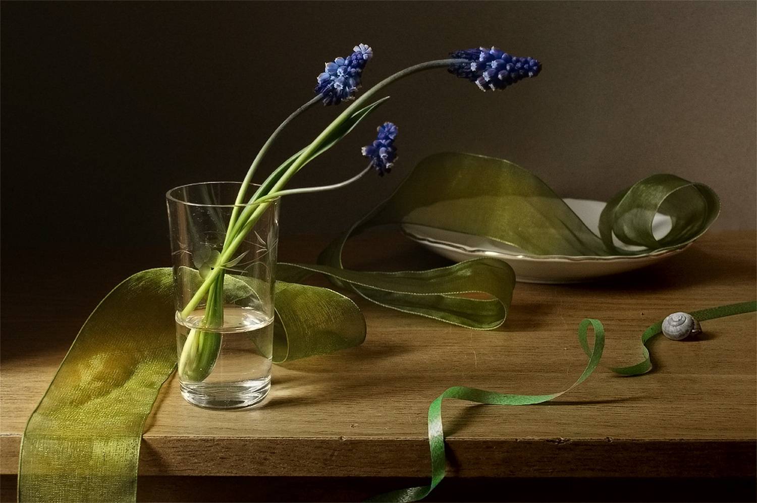 , Елена Колеснева