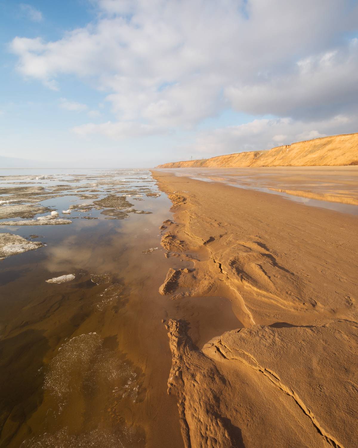 , Алексей Проняхин
