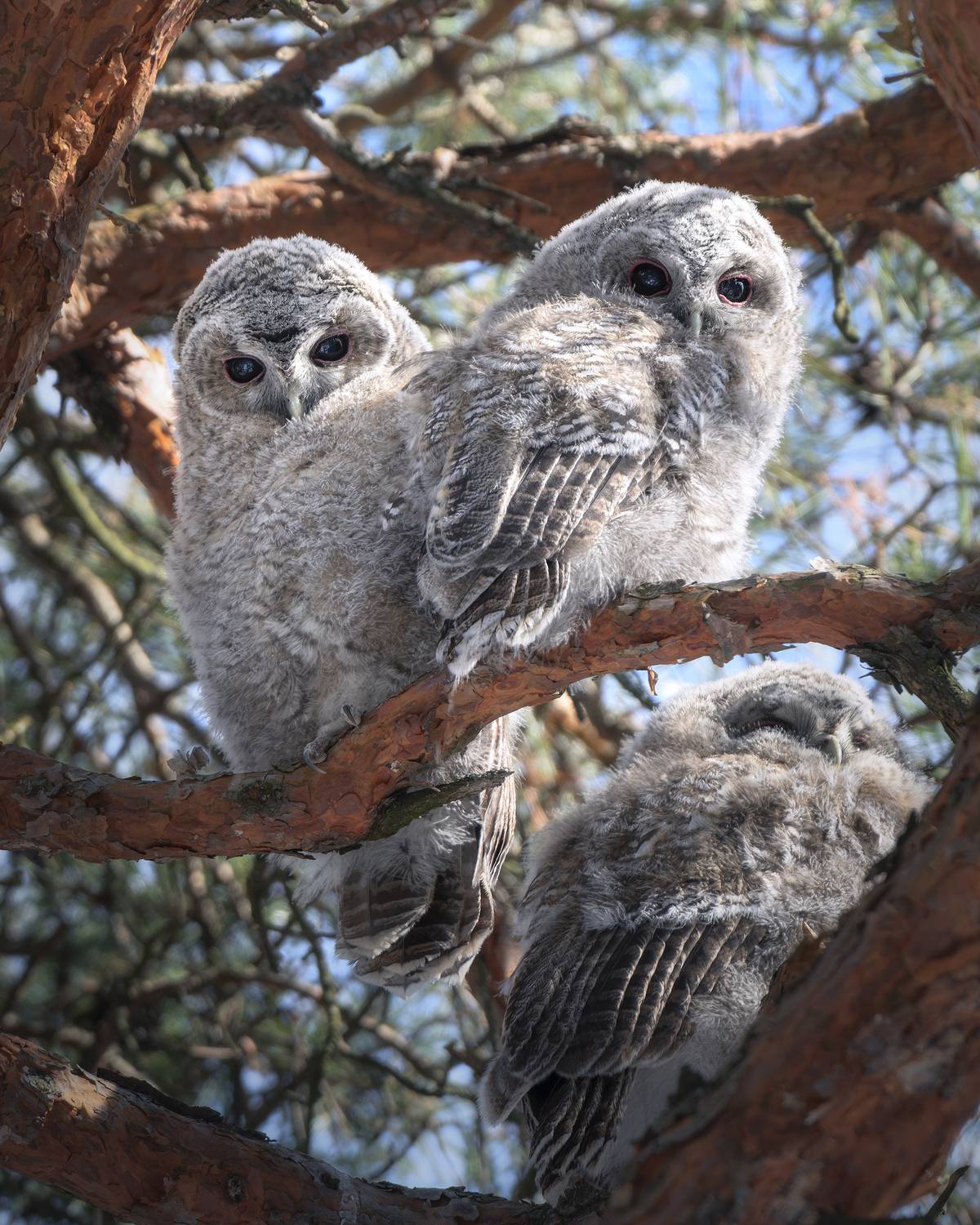 , Поляков Михаил