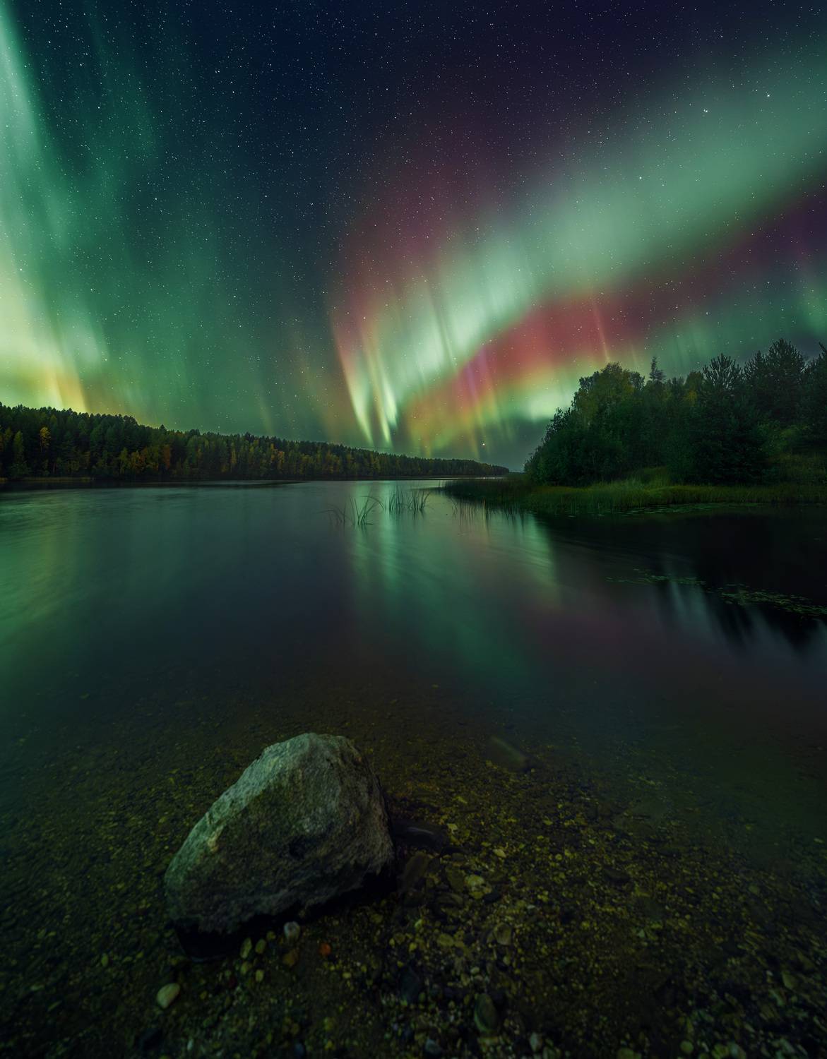 , Алексей Турчин