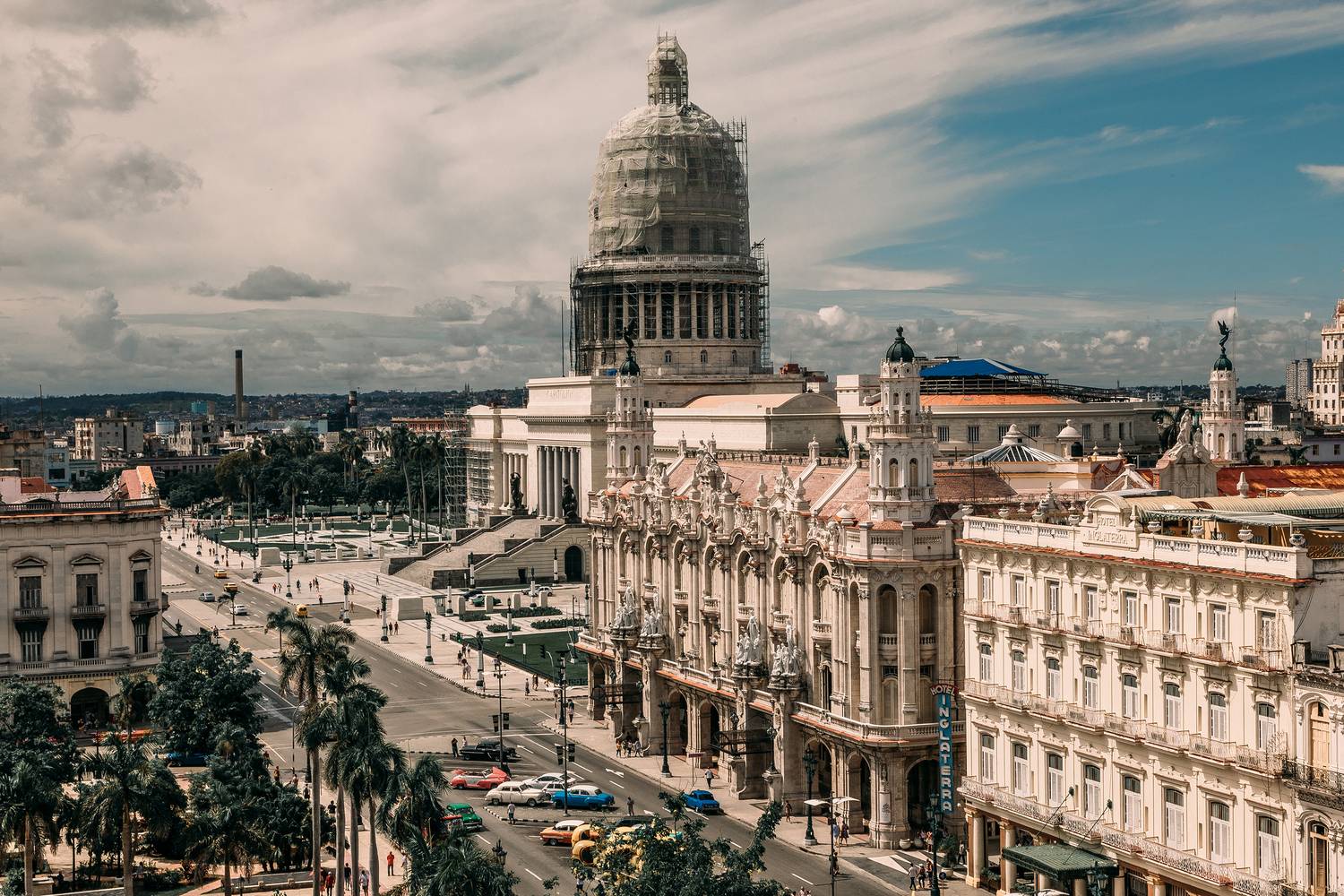 , Трепольский Дмитрий