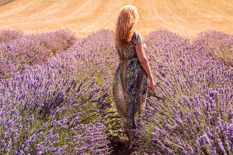 лаванда фото превью